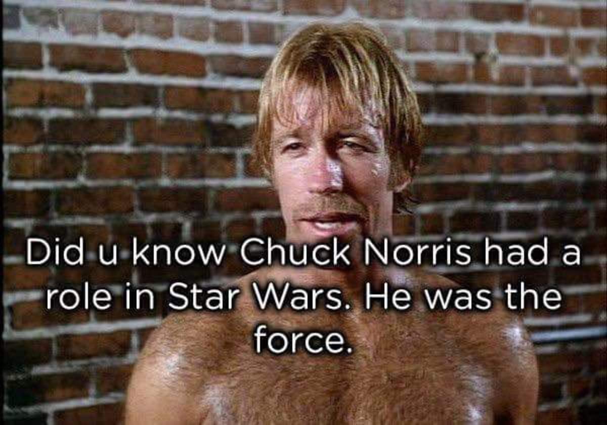 Over 1000 chuck norris jokes