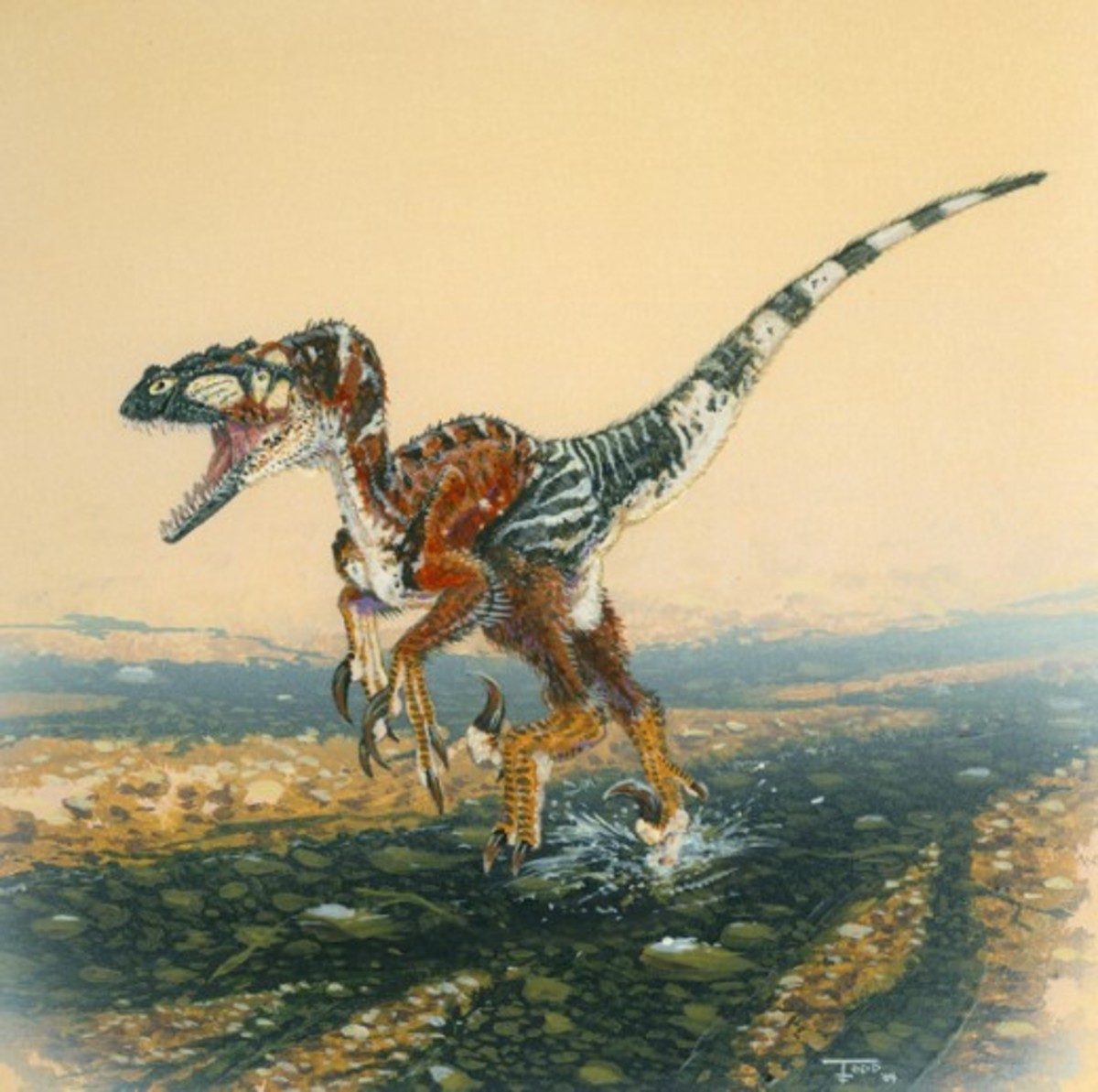 Ютараптор и Аллозавр