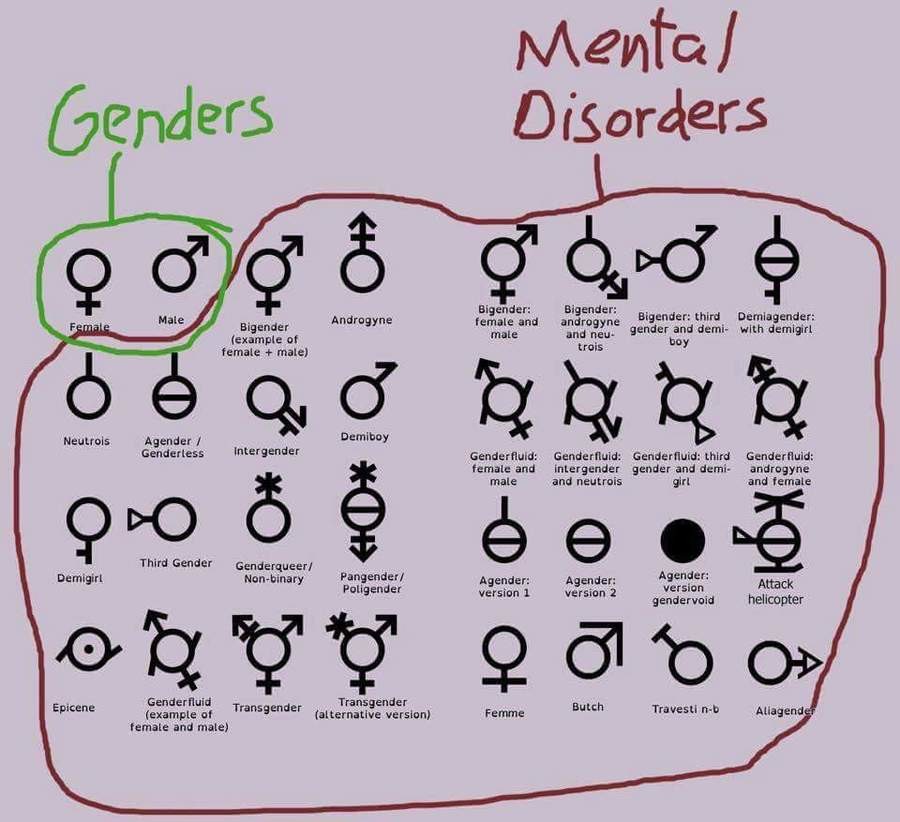 Genders_92c367_6221544.jpg