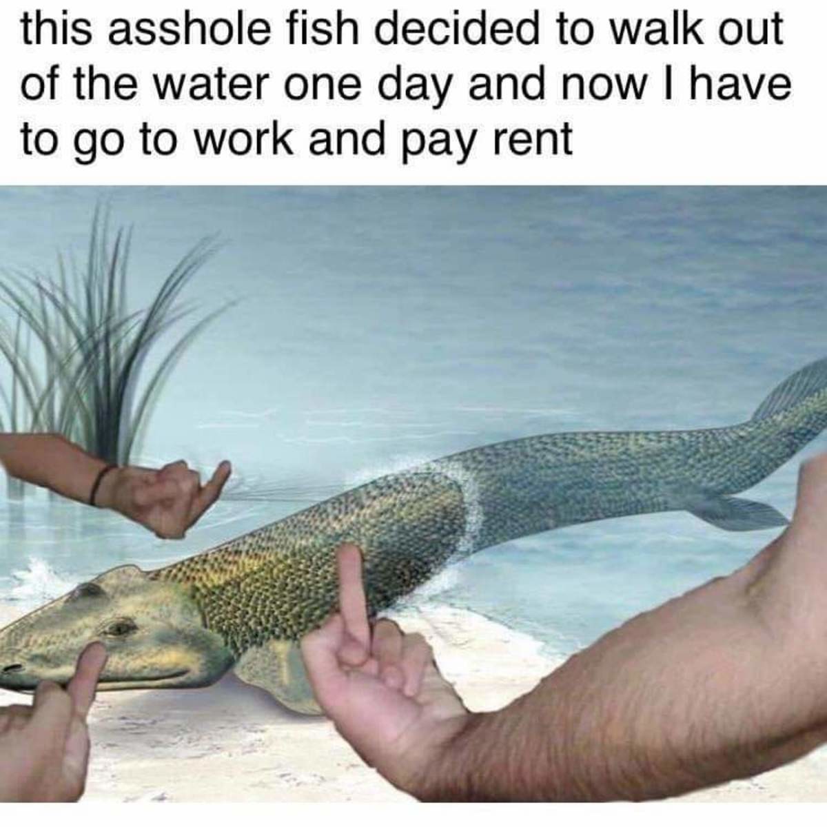 Big fish fuck off reel