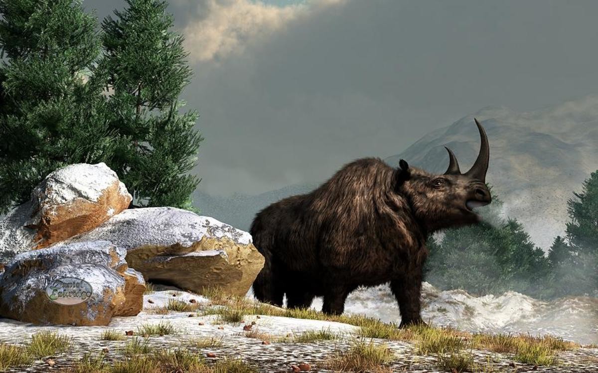 Носорог шерстистый плейстоцен