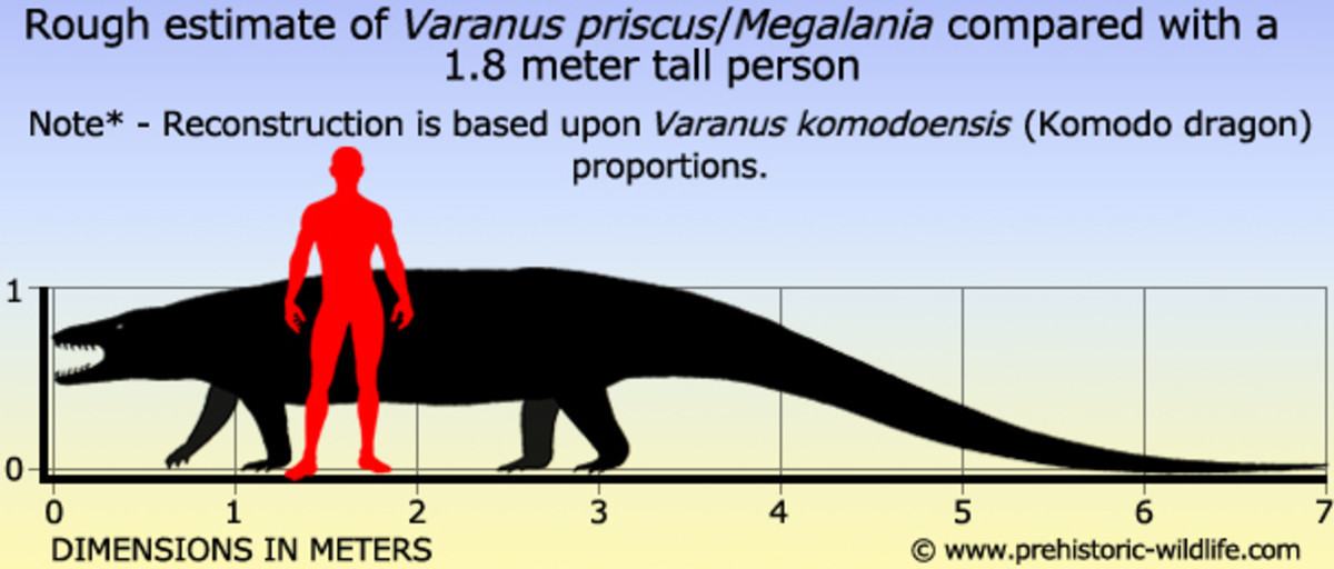 Female sex ratio for bison priscus