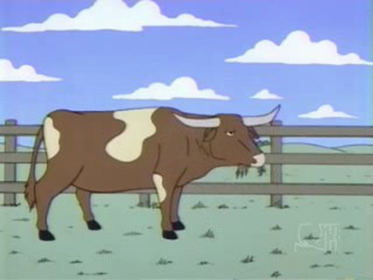 Корова бегает