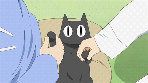 Anime Memes - best cats | Facebook