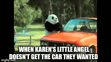 angry panda gif