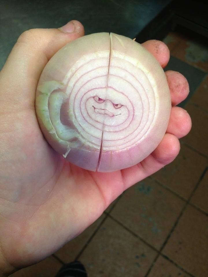 satureated faqt onion