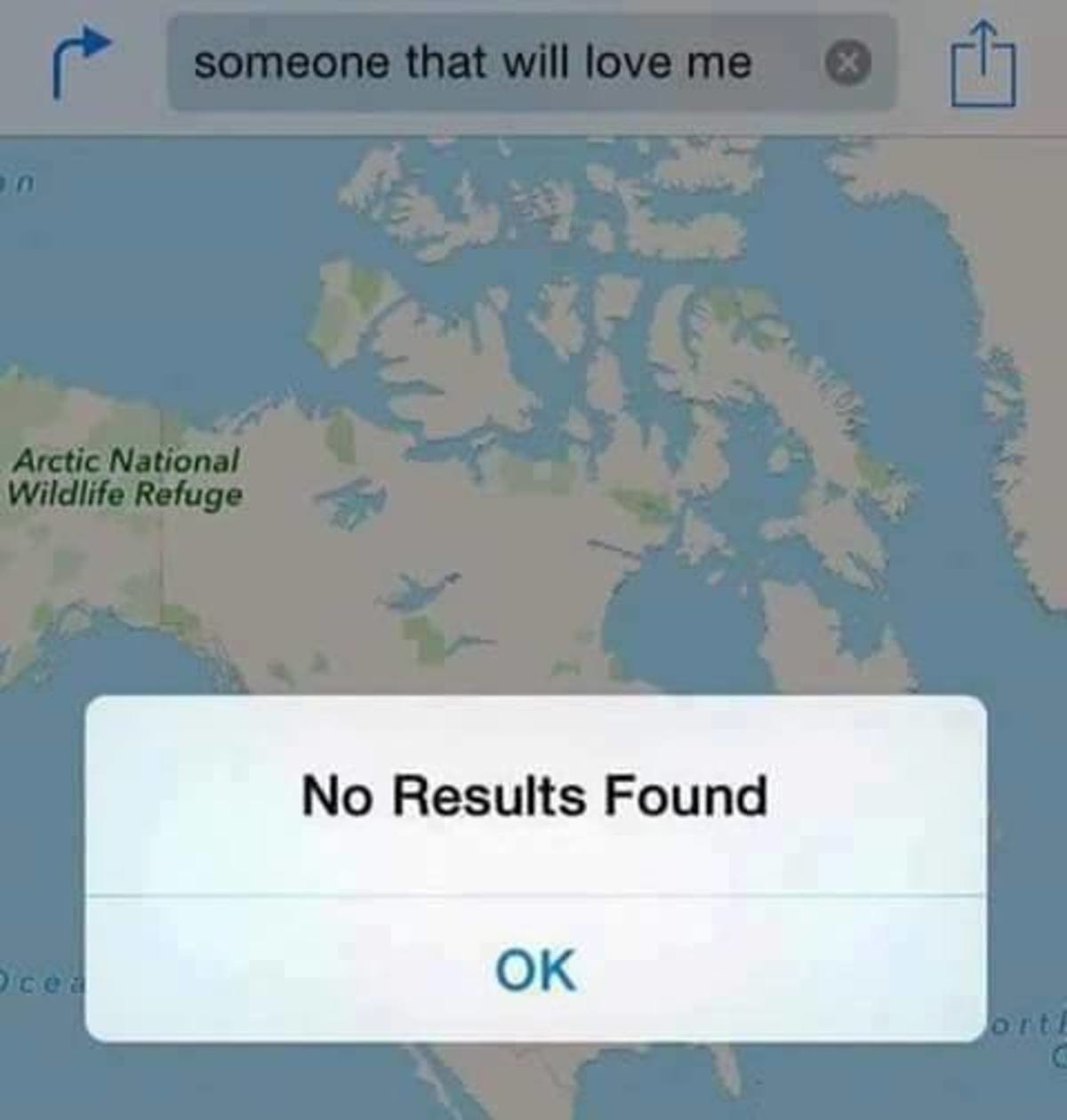 No results found перевод. No Results found. No Results found перевод на русский. Listen here you little meme.