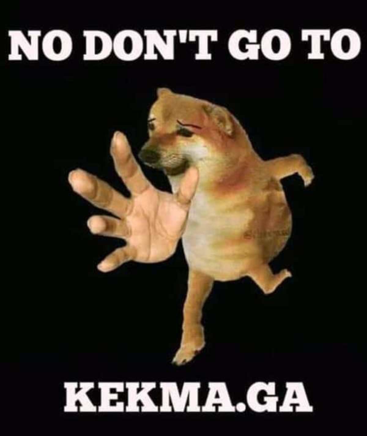Kekma. ga