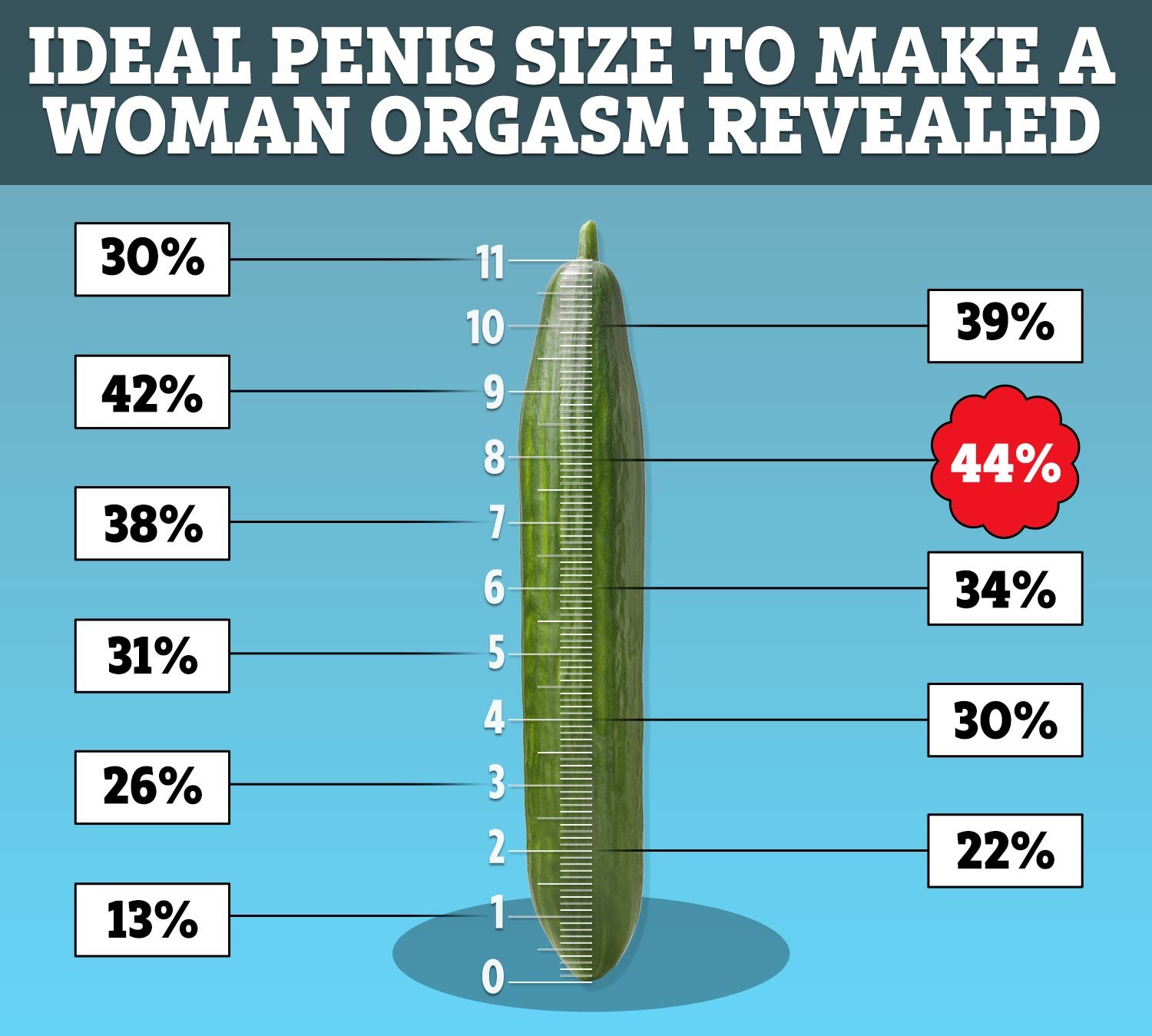 Ideal Penis sizes according to women.