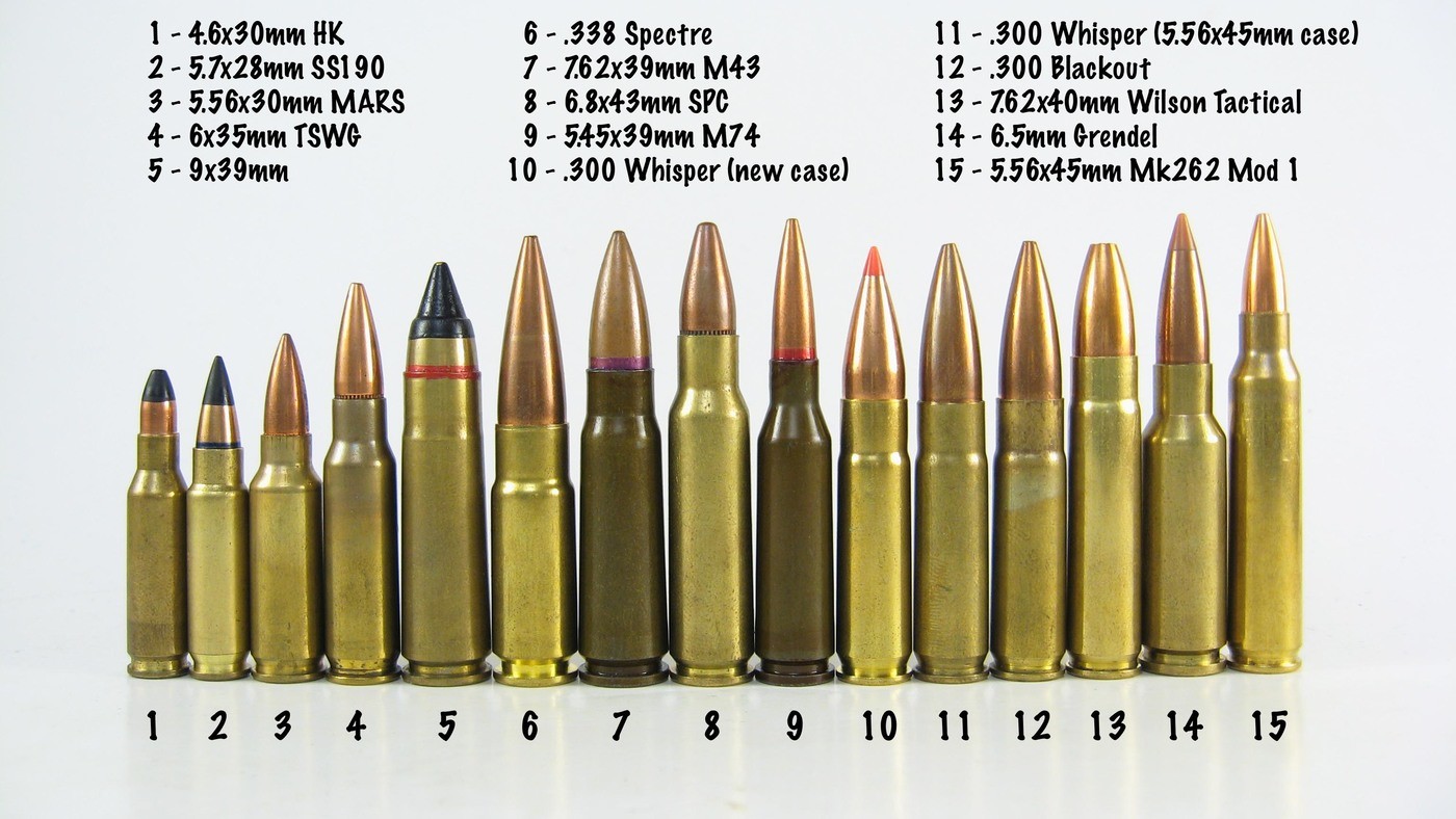 8.0 g 7.62x39mm FMJ at 738 m/s. 