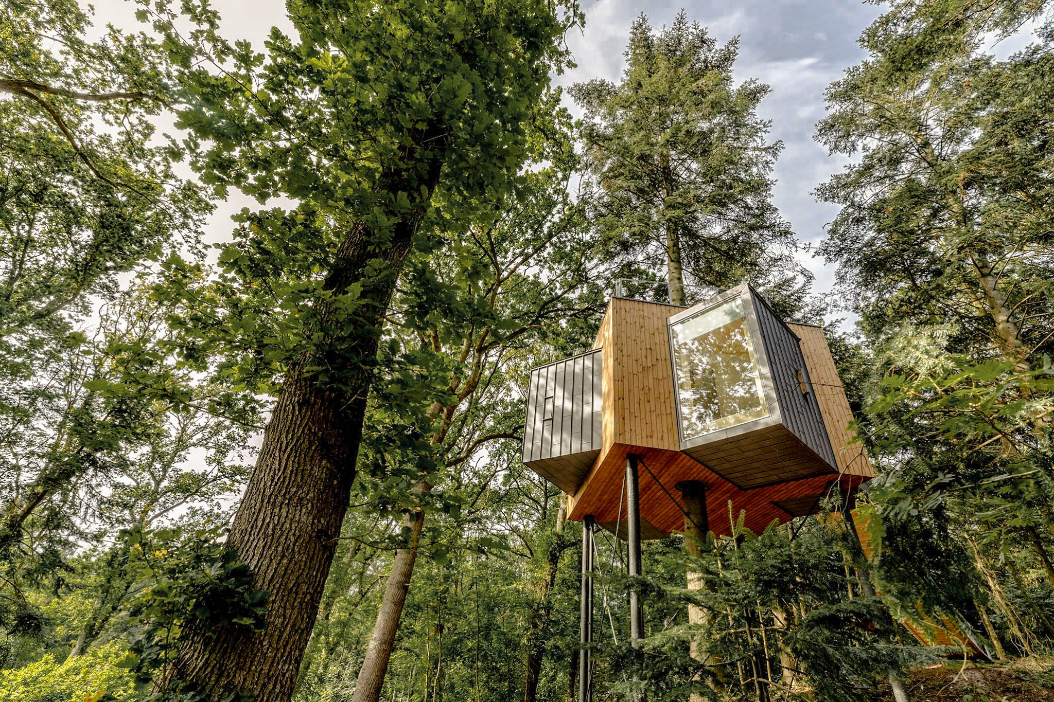 Treetop Hotel