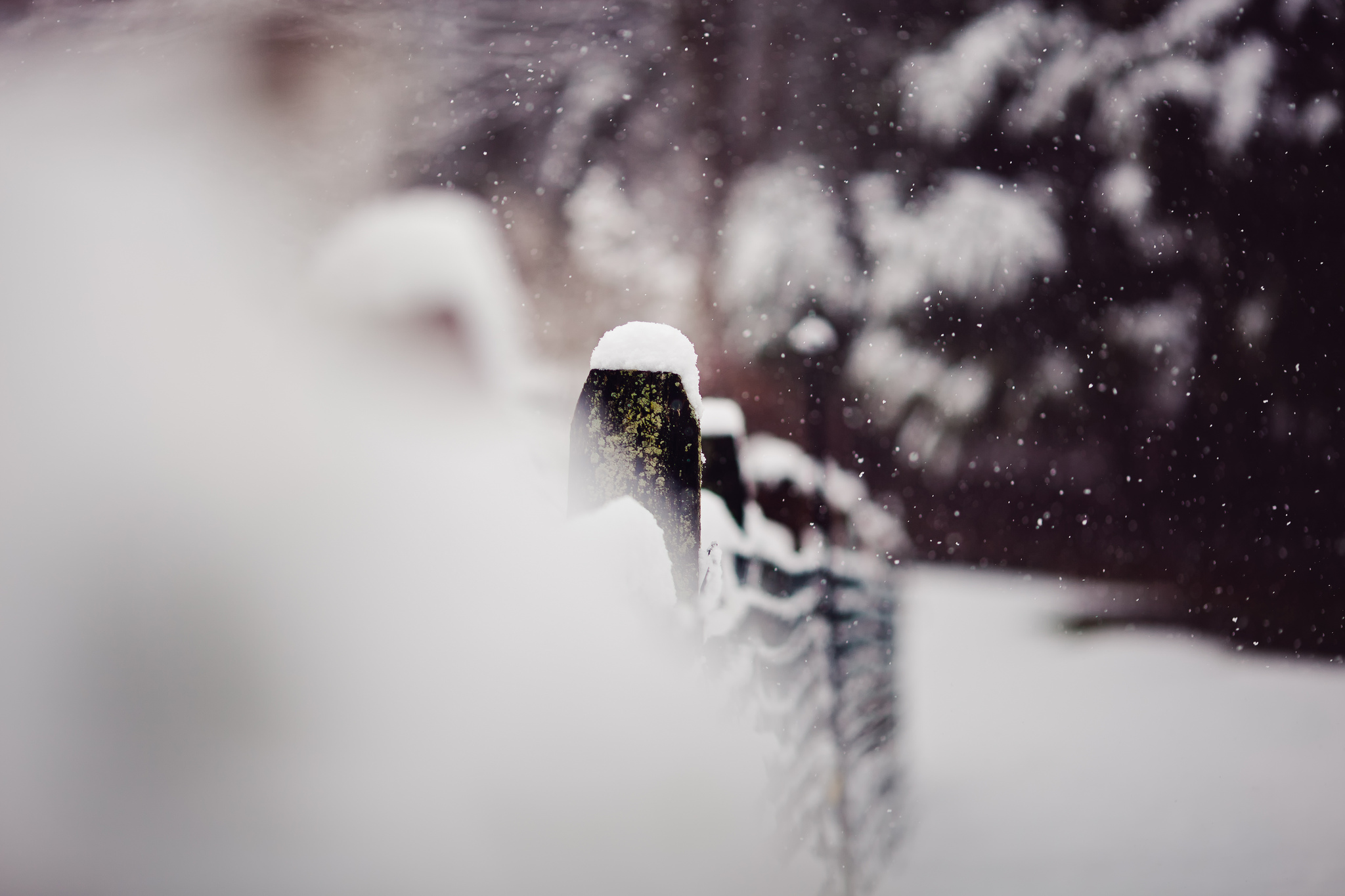 Snow last winter. Зимний фон размытый. Зима грусть. Зима макро снег. Размытый снимок снега.