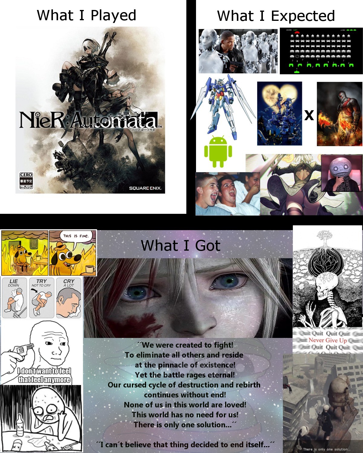 What i. What i expected what i got NIER Automata. NIER Automata memes. NIER Automata meme. NIER Automata what i expected what i got meme.