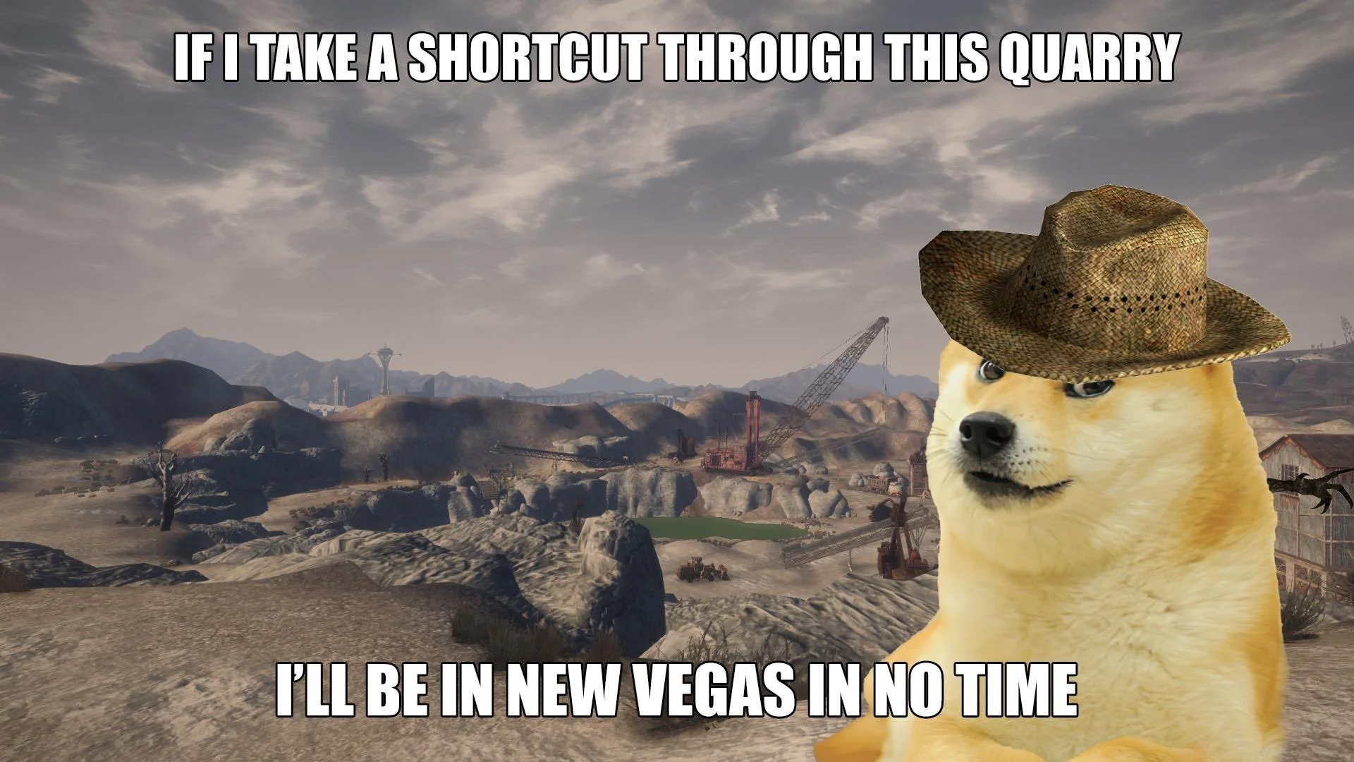 Through this. Doge Fallout New Vegas. Фоллаут Doge. Вегас Мем. New Vegas memes Doge.