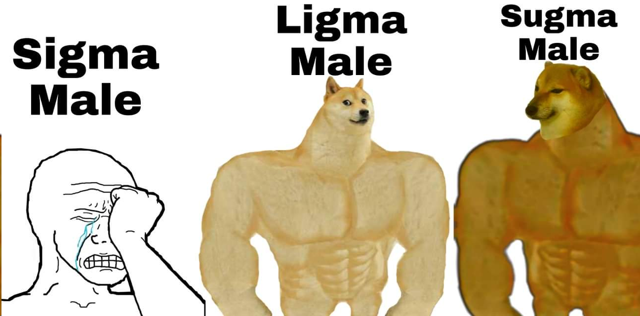 Sigma balls, Ligma