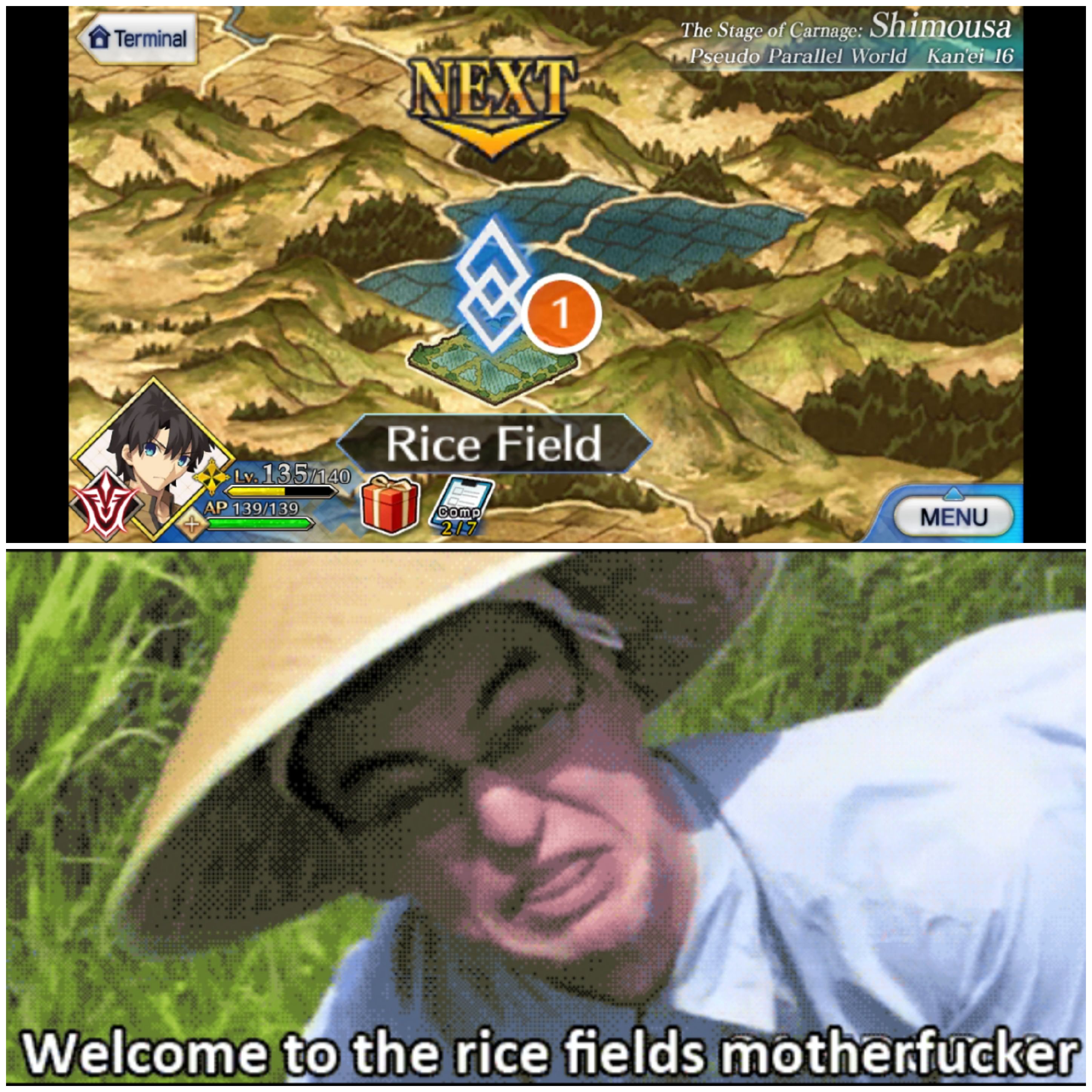 welcome to the rice feilds