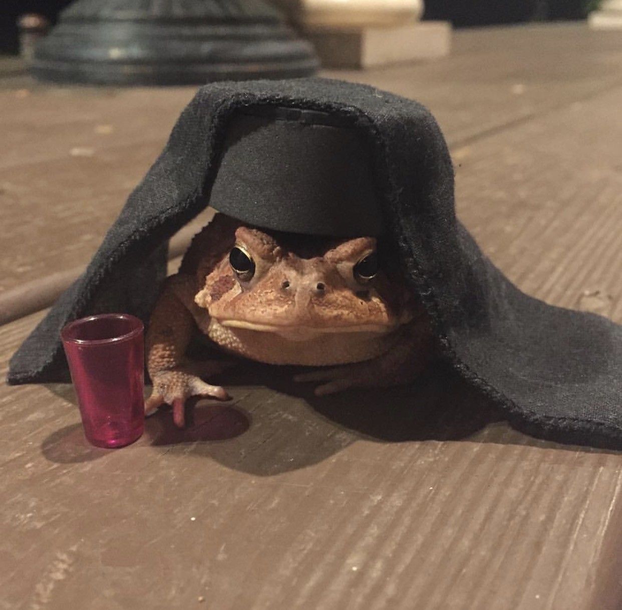 Tell Cersei I want her to know it was me. 