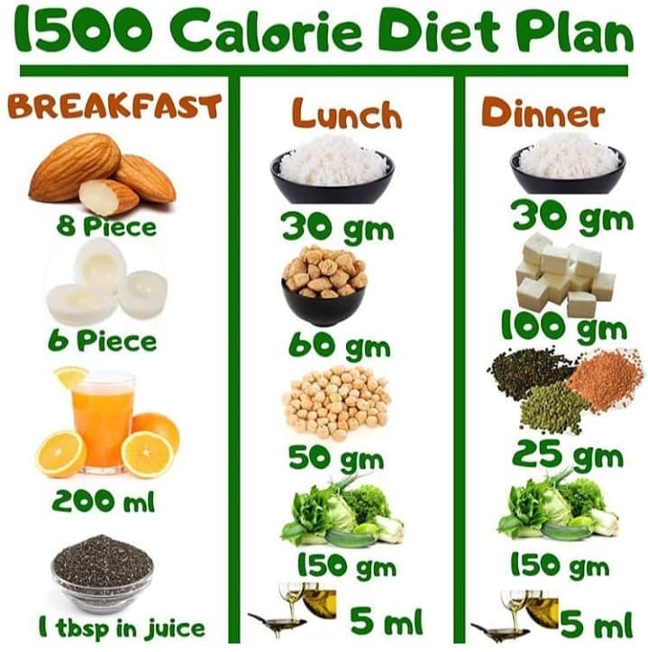 500 calories a day plan