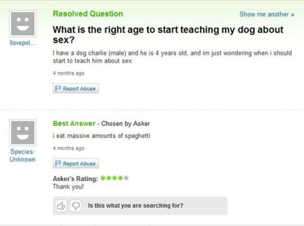 Strange questions. Questions about Dogs. Dating a teacher yahoo answers.