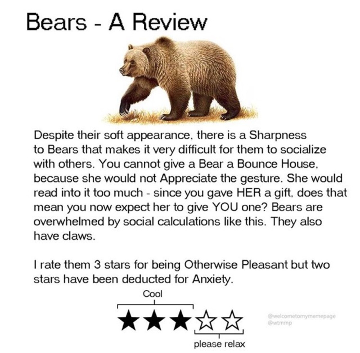 Animals review. Can't Bear. Where the Bears are. Cant Bear cant Stand. I cant Bear it.