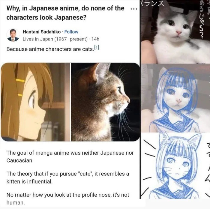 Anime girls are cats!