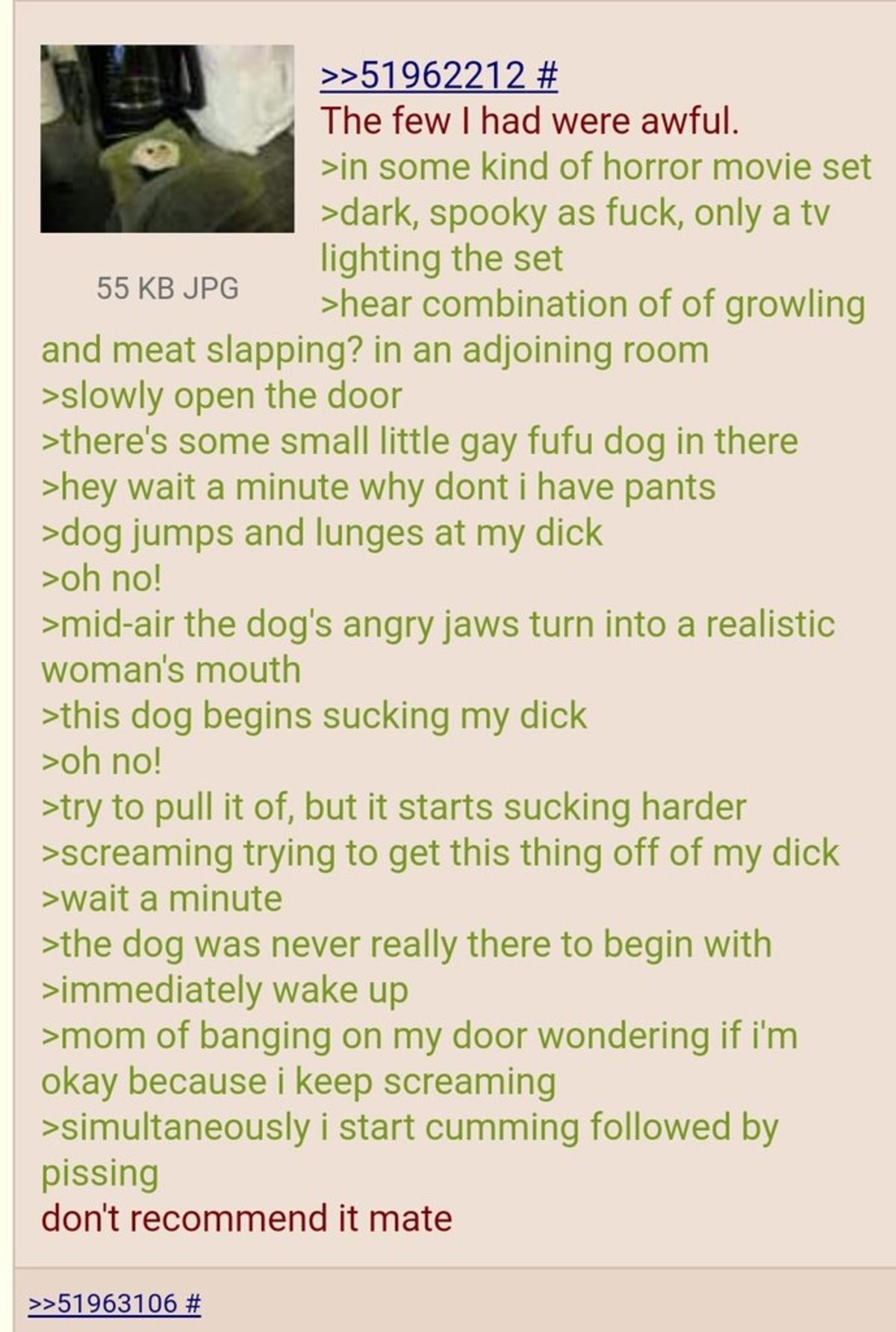 Anon has wet dream