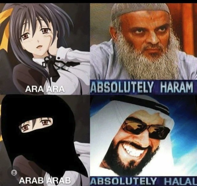 Харам брат. Аниме харам. Haram Мем. Halal Haram Мем. Absolutely Halal.