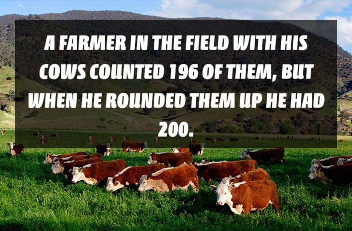 There are many cows. Bad Bad jokes. There is a lot of Cows in the field. There is/are a lot of Cows in the field.. This is how his Cow looks like