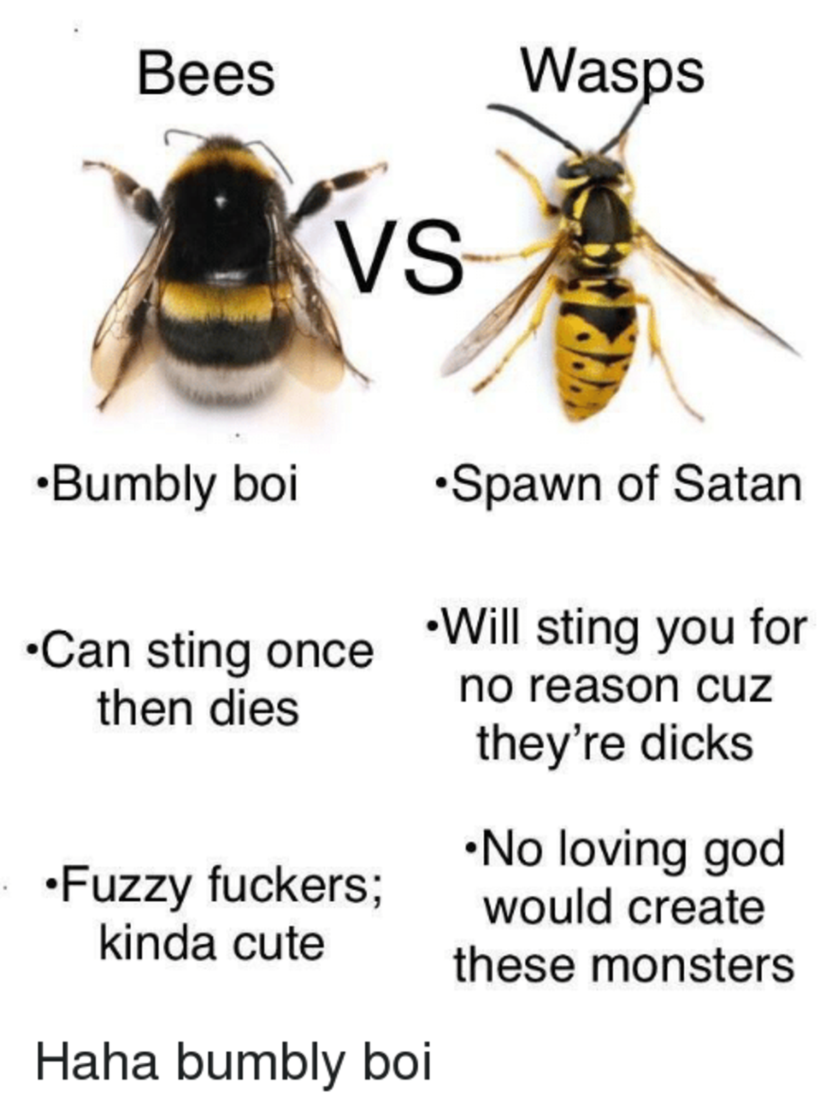 Bees and Wasps.