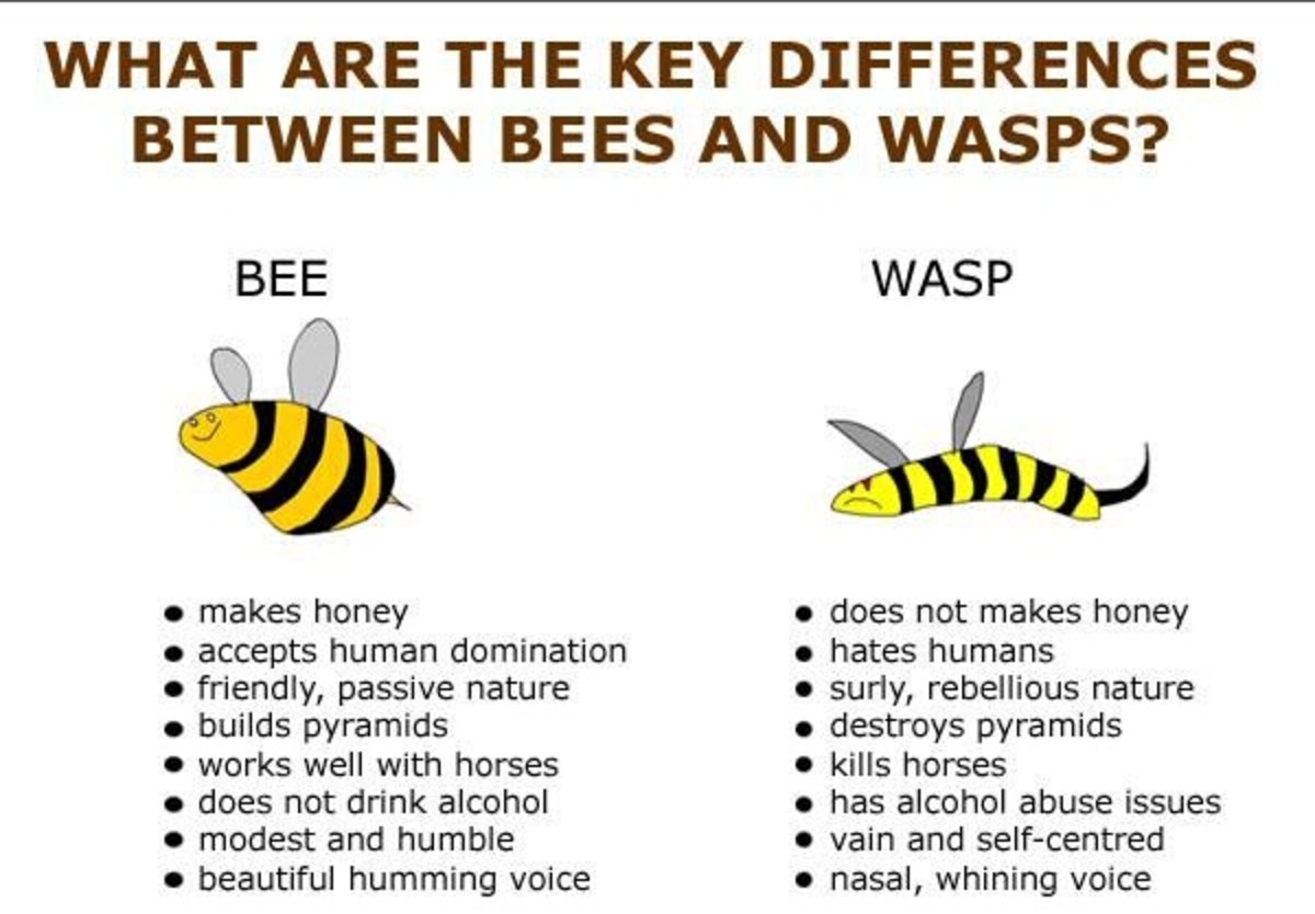 Bees and Wasps. .. 