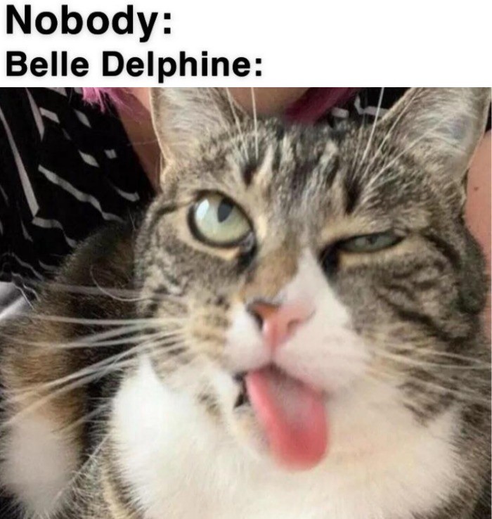 Delphine whore belle Belle Delphine