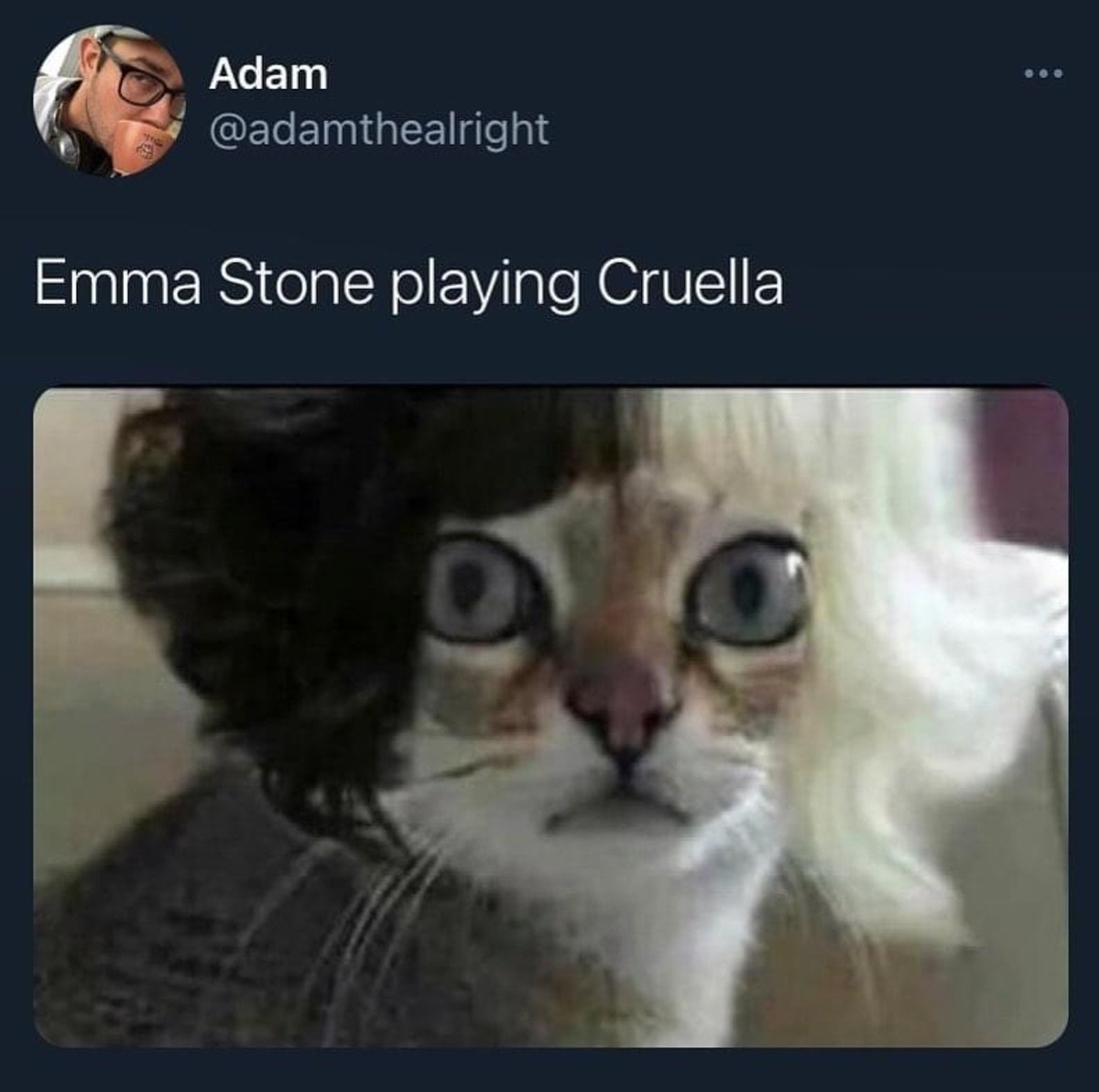 Кошка эмма стоун