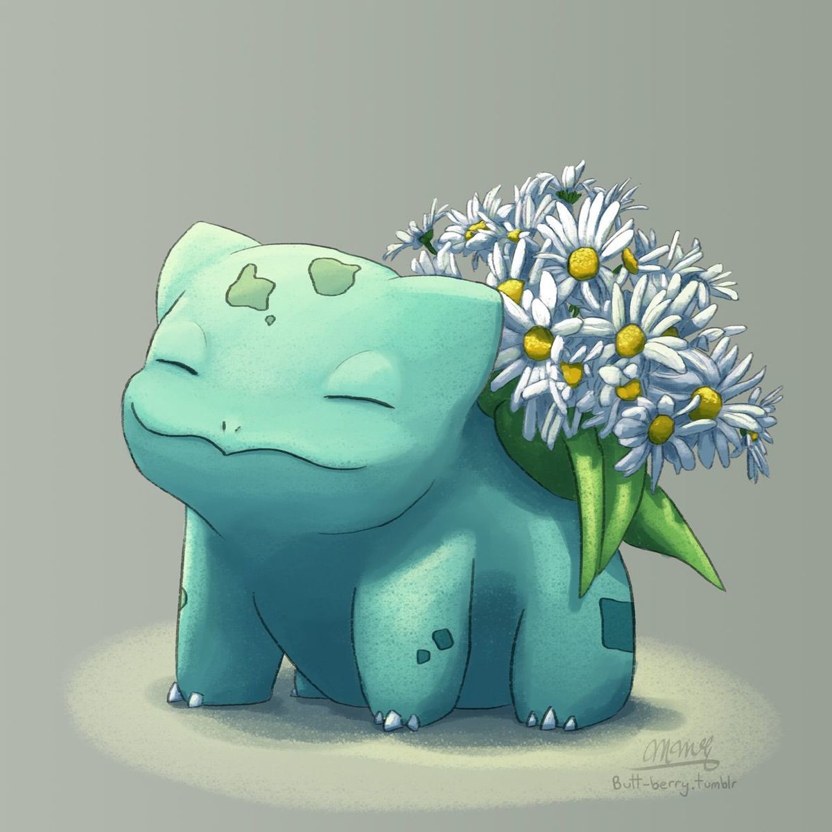  Bulbasaur  Variations