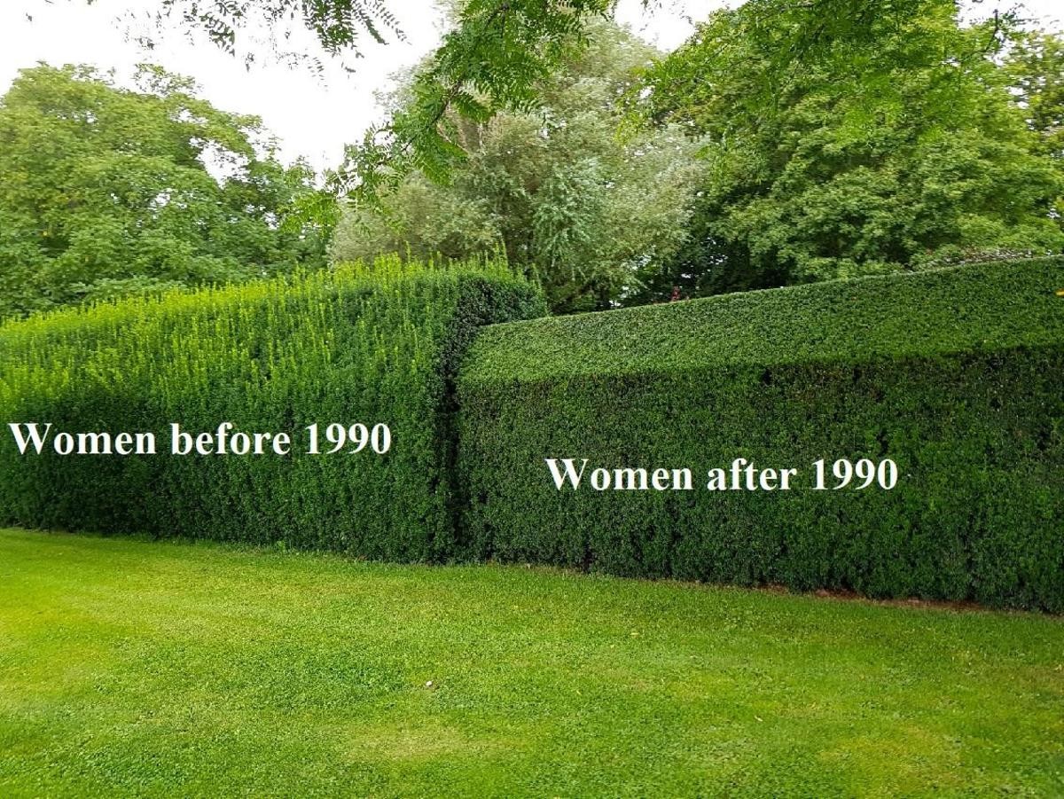 bush