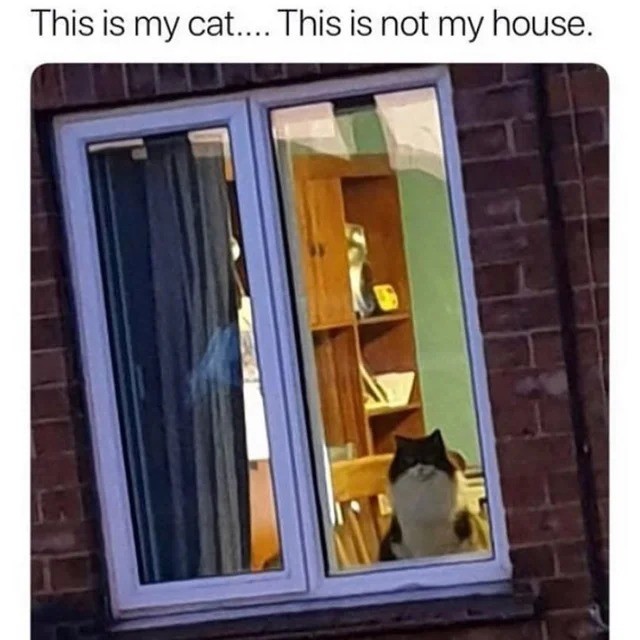 cat house