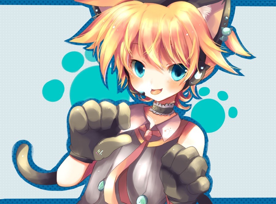 Cat trap. Cat boy Trap