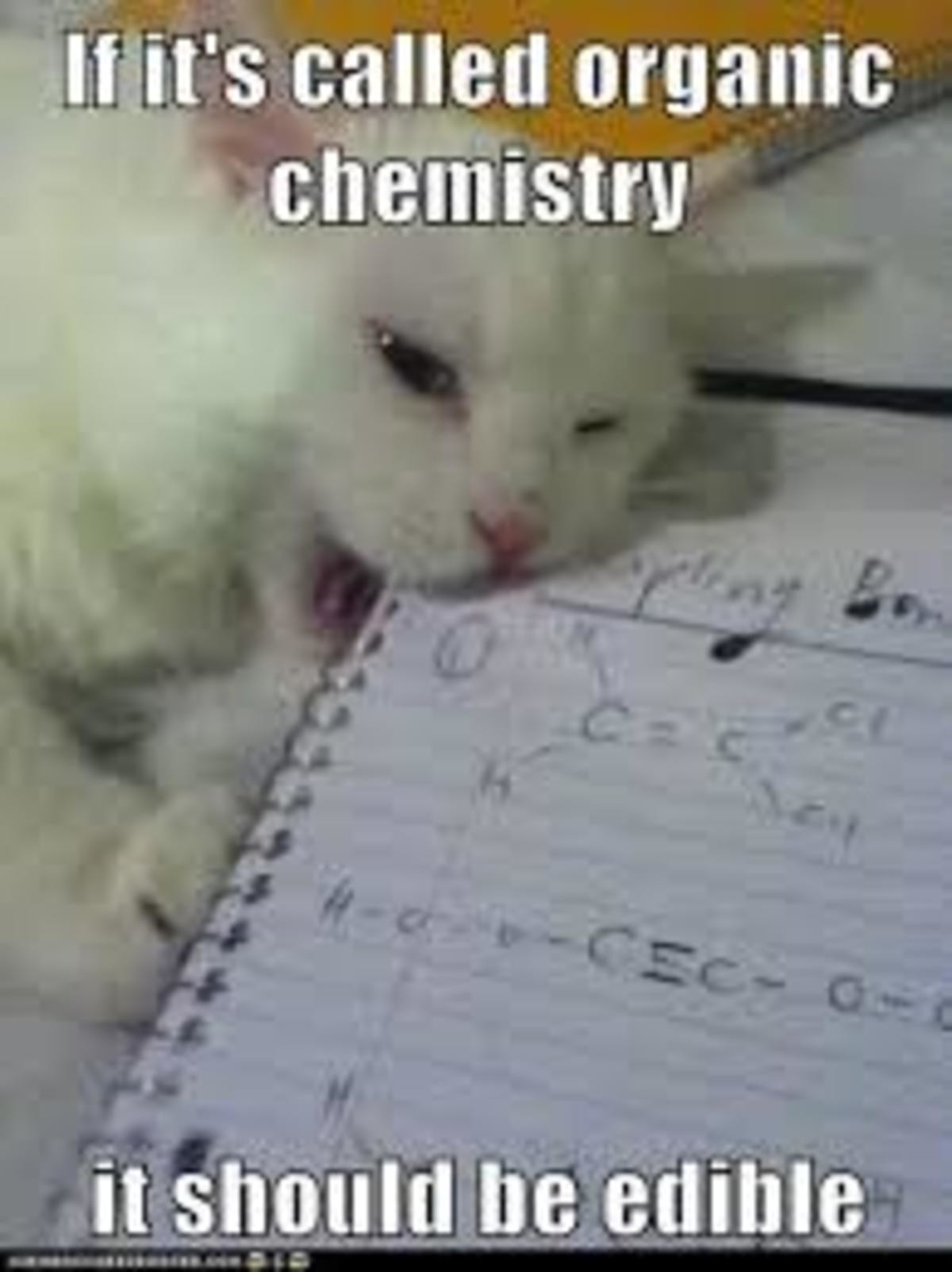 organic chemistry cat memes