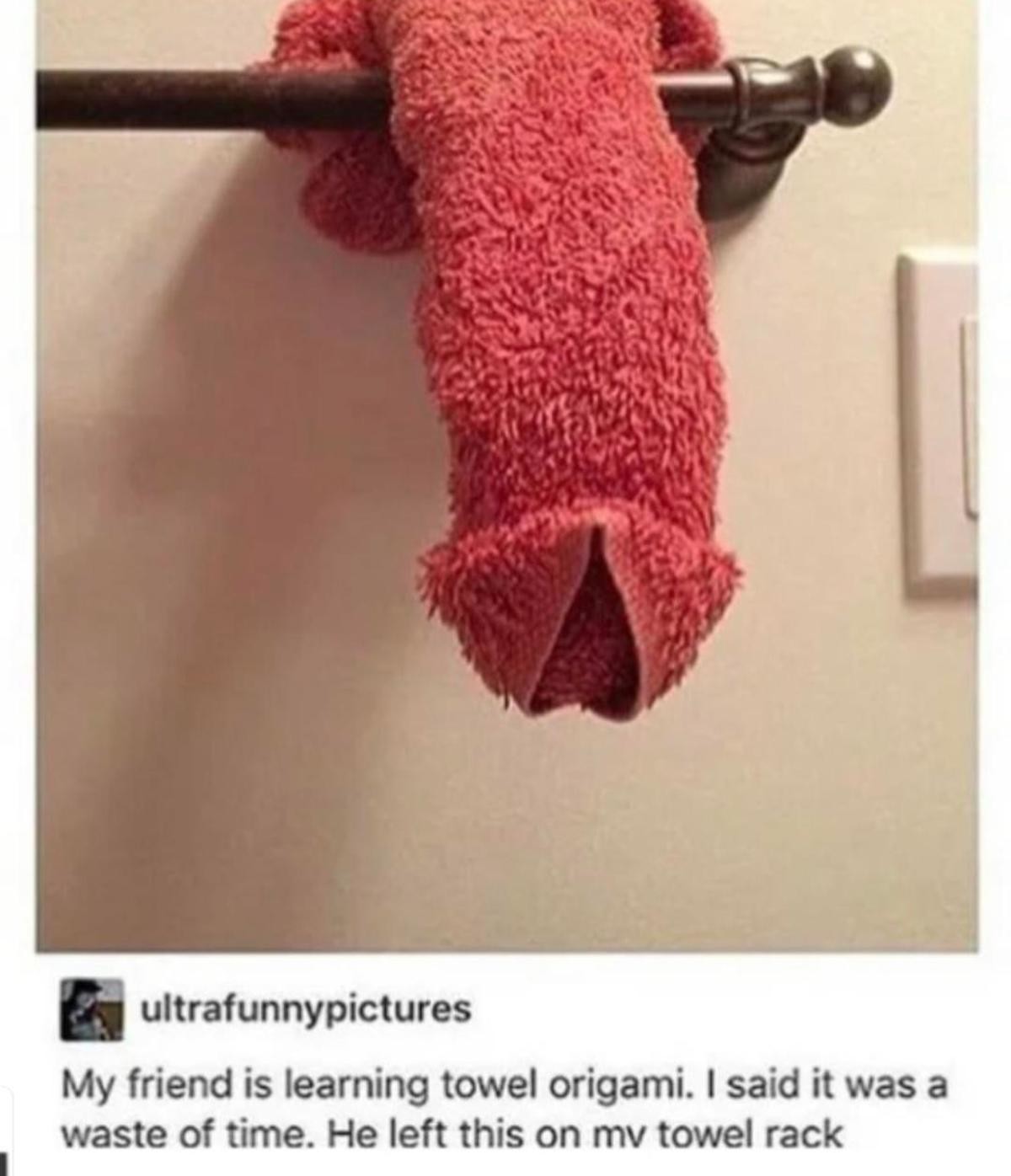 Towel origami penis