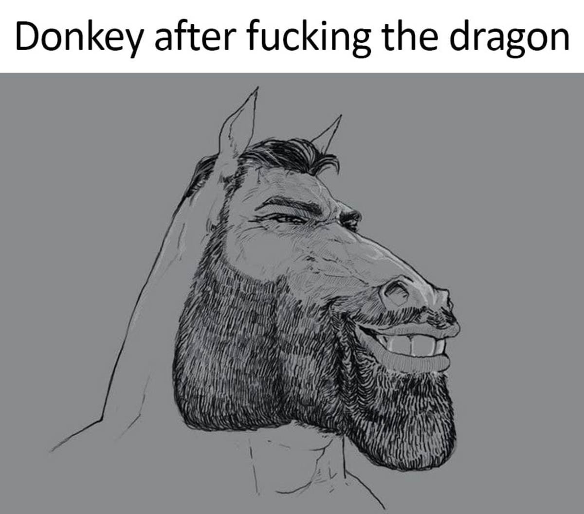 Donkey Punch Meme