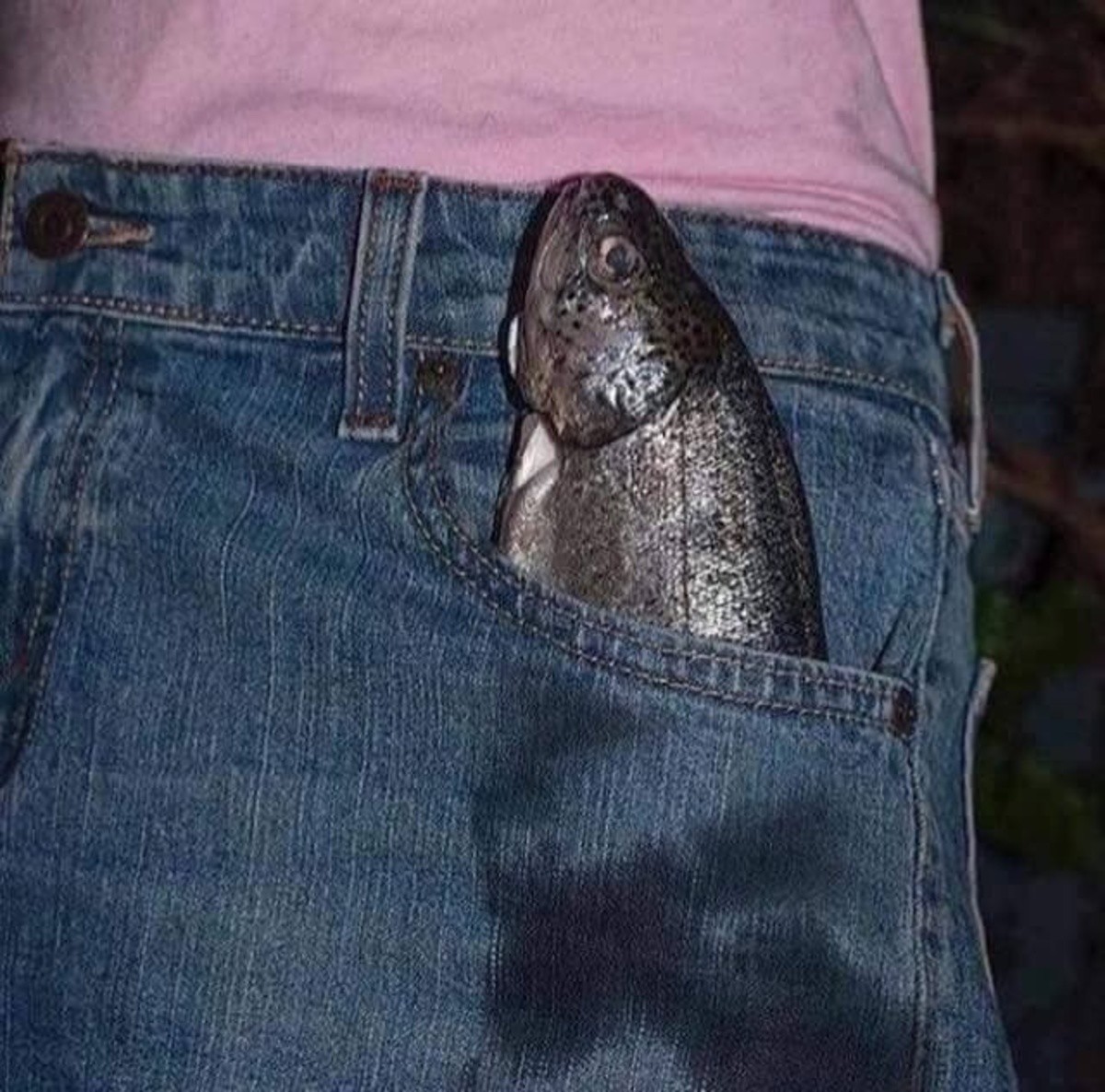  cursed  fish 