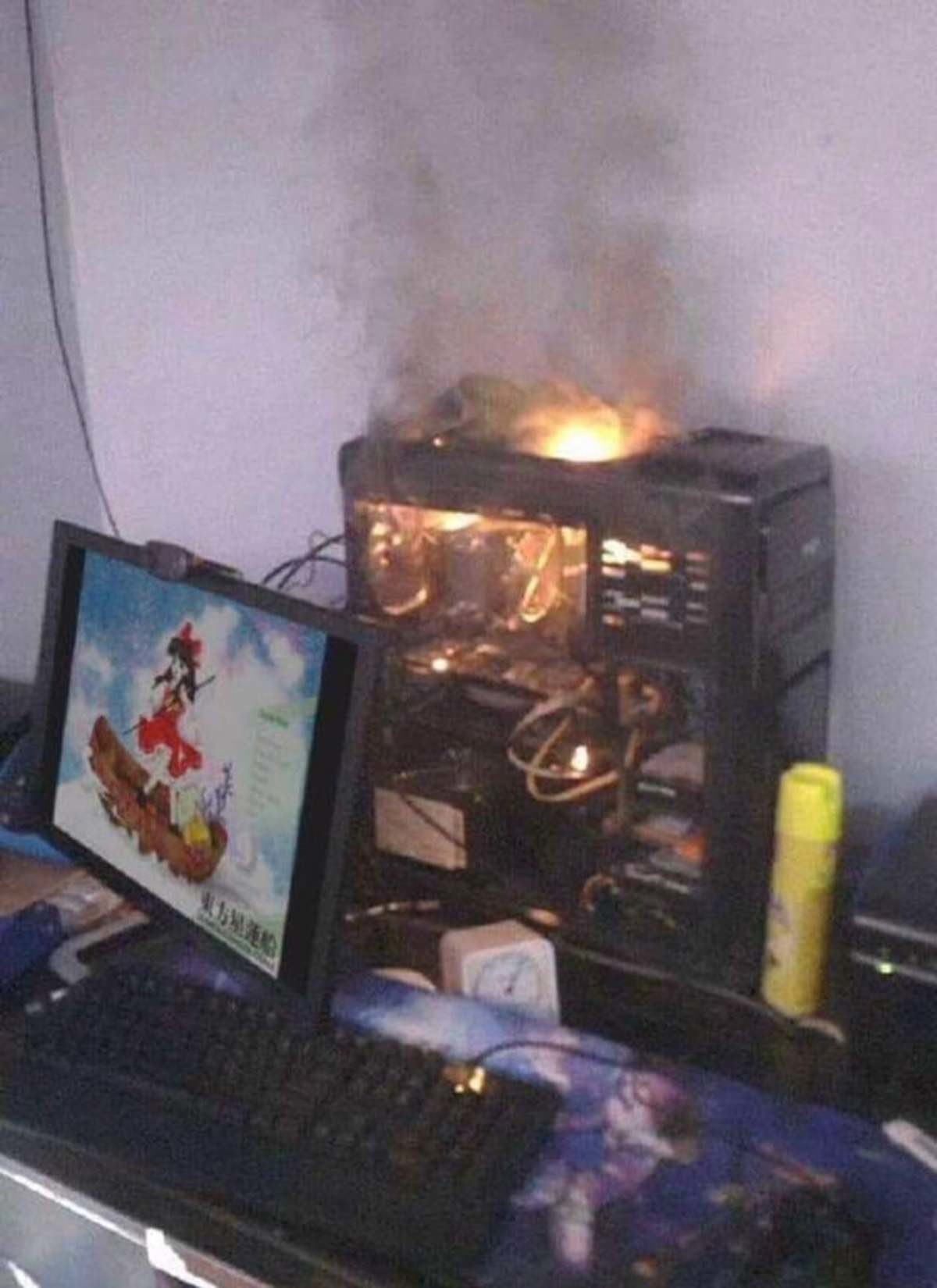 THE CURSED GAMER