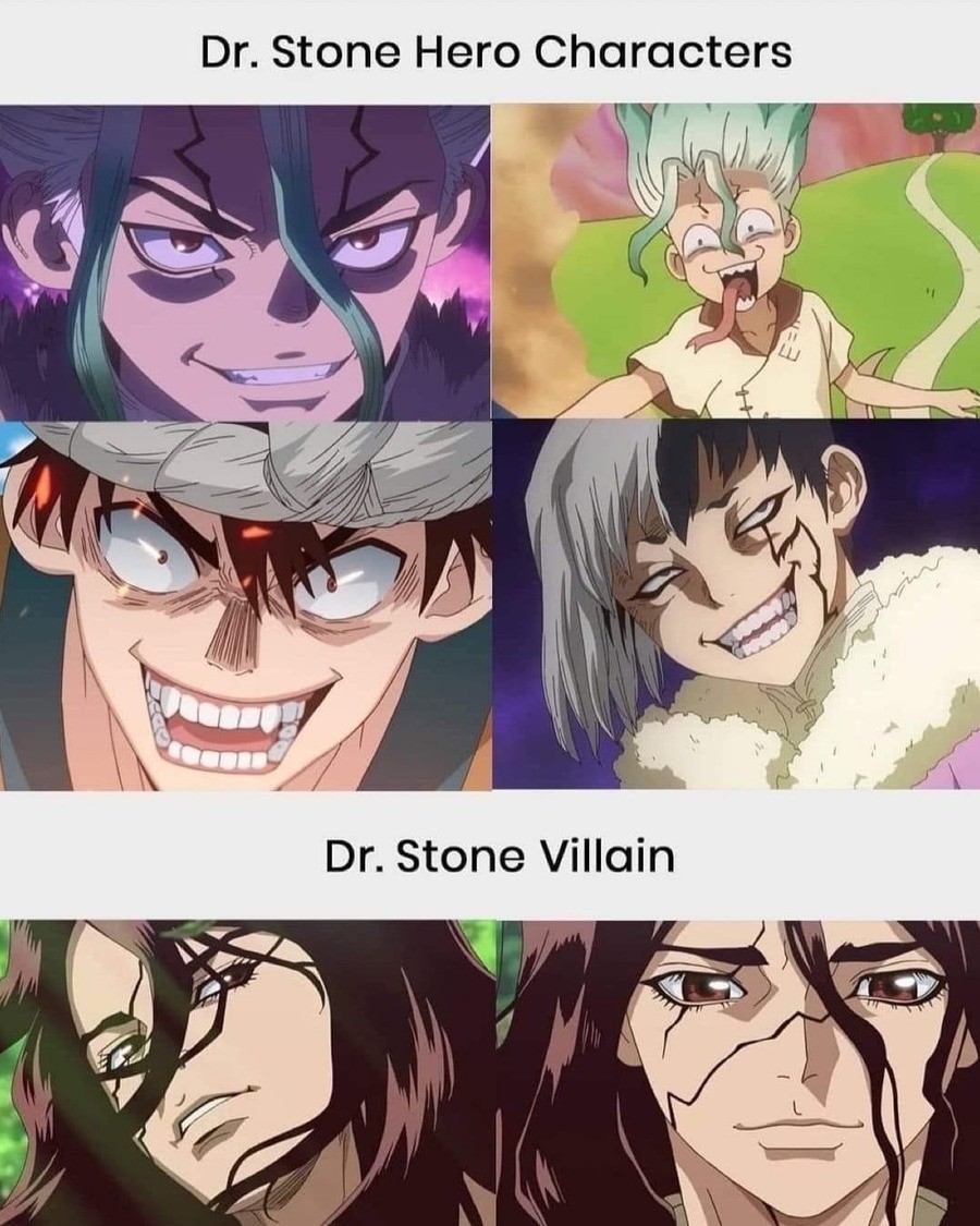 Dr Stone