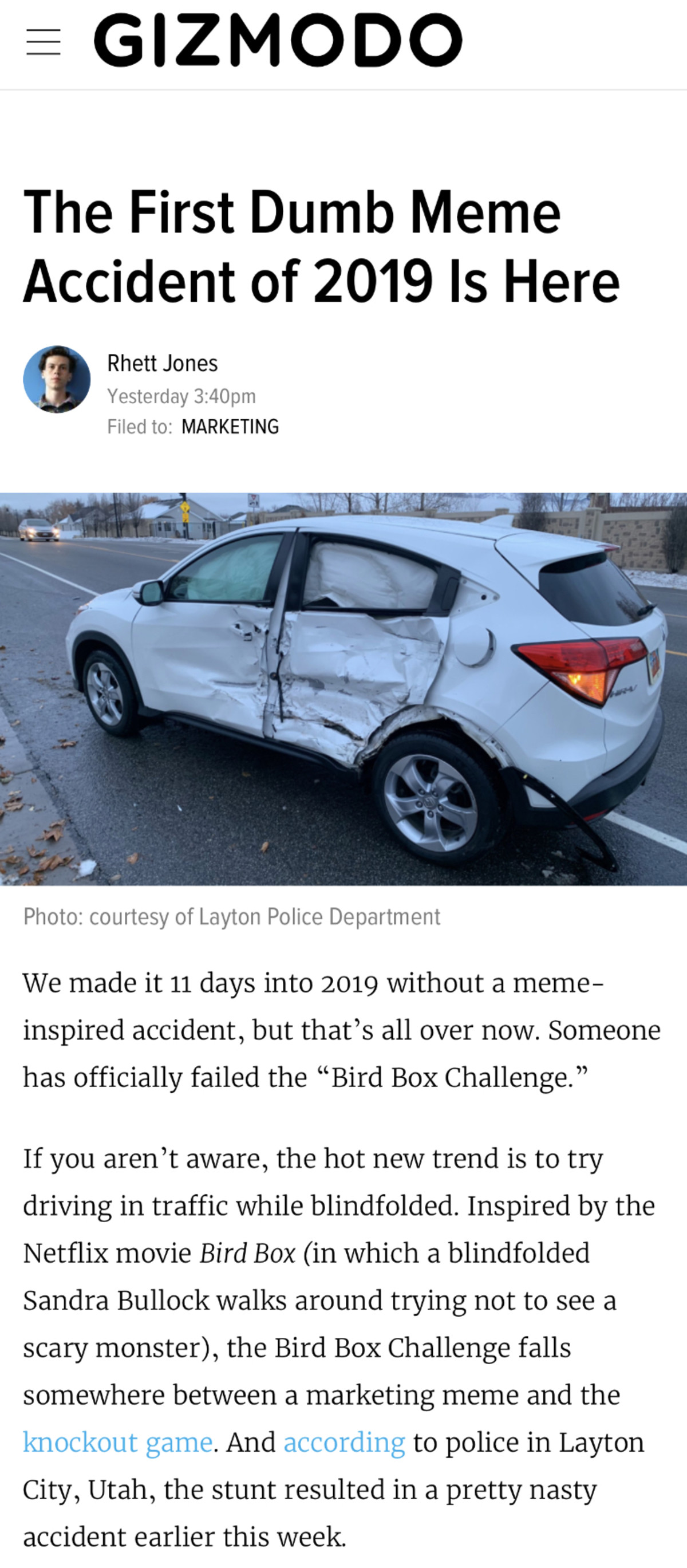 Police: Driver crashes trying 'Bird Box' blindfold challenge