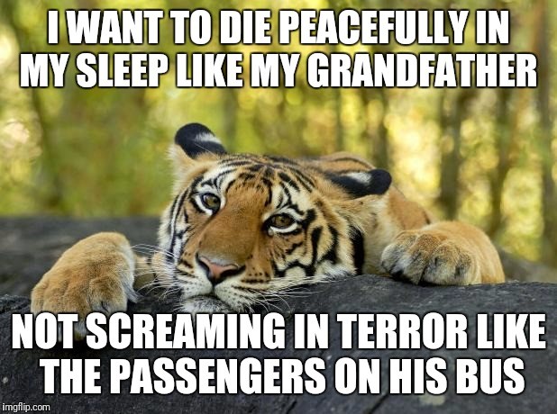 Likes his. I want to die peacefully in my Sleep like my grandfather not screaming in Terror like his Passengers. I want to die peacefully in my Sleep like my grandfather. I want to die peacefully in my Sleep like my grandfather not screaming in Terror like his Passengers перевод. I like to Sleep.