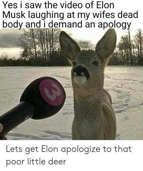 Dead Deer Memes Apsgeyser
