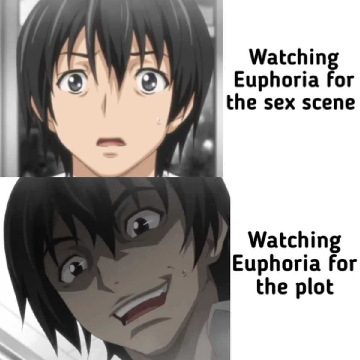 Euphoria dicks meme