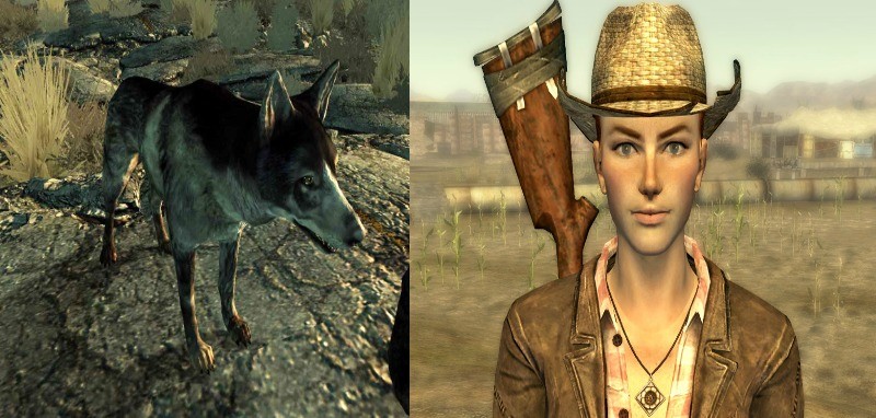 fallout 3 can companions die