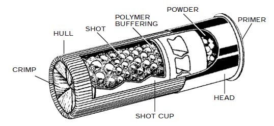 Firearms 101: Ammunition Basics