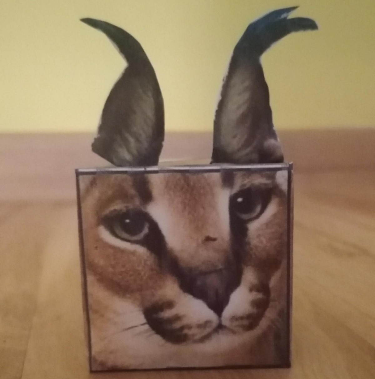 Cute Floppa Cube Cat Head - Roblox