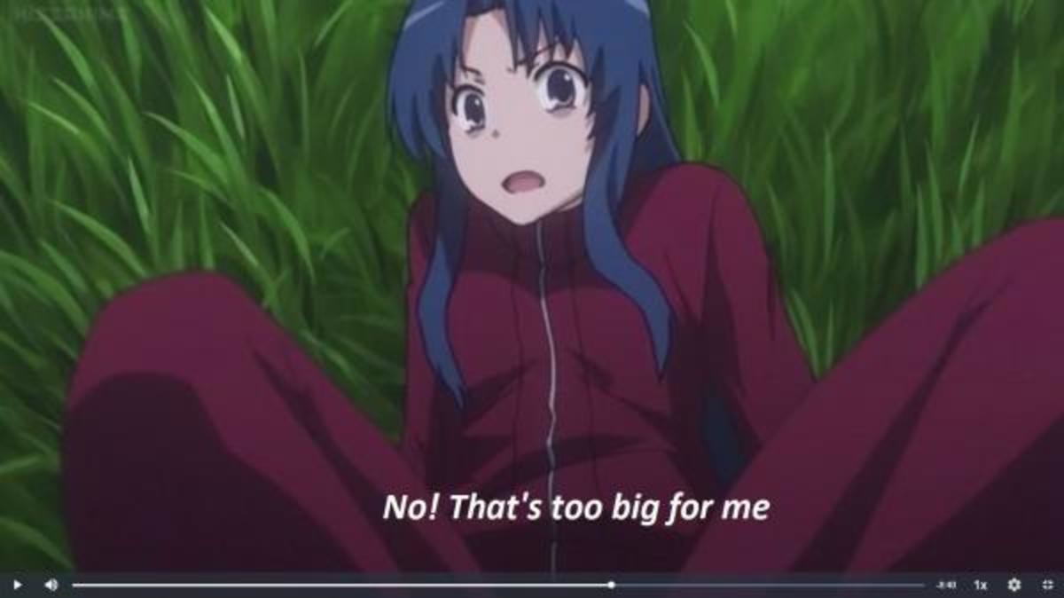 Funny Anime Subtitles